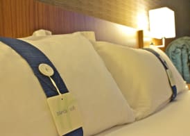 Holiday Inn Express CAMPO DE GIBRALTAR - BARRIOS by IHG 4