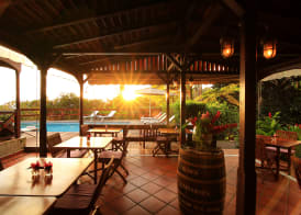 Jardin Malanga 4