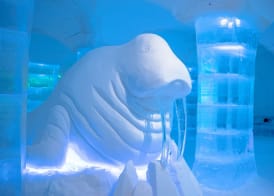Sorrisniva Igloo Hotel 3