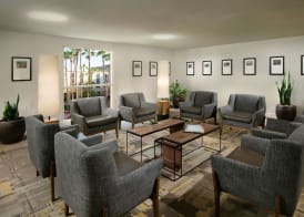 Tempe Mission Palms 2