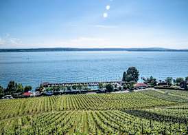 Bodenseehotel Renn 4