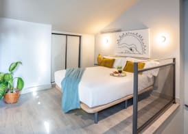 Coeo Parras Design Apartments 5