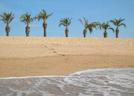 ALEGRIA Florida & Spa 5