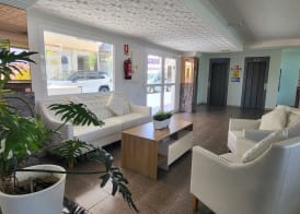 Las Camelias Apartments 2
