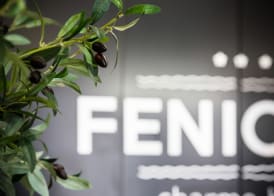 Fenicius Charme Hotel 4