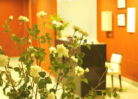 Hotel Herbeira 2