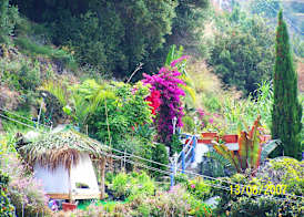 Romantic Casa Lorenzina Affittacamere 3