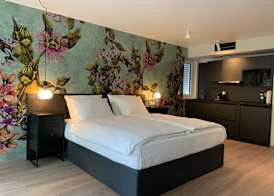ANA Suites Karlsruhe, Trademark Collection by Wyndham 4