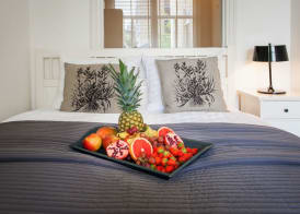 Plantage Hortus Apartments 5