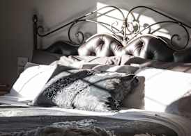 Noah's Stanley Luxury Bed and Breakfast 3