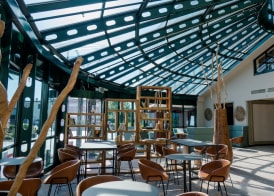 Hotel Amadeus Frankfurt 5