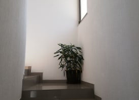 Yeshill Apart & Studio 2