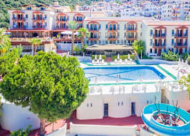 Club Phellos 2