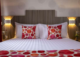 Cocoon inn 2