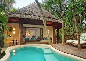 Viceroy Riviera Maya, a Luxury Villa Resort - Adults Only 4