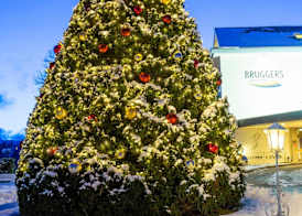 BRUGGER'S Hotelpark am See 3