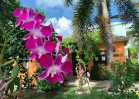 Buccaneer Beach Club 3