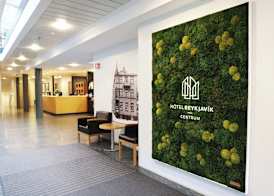 Hotel Reykjavík Centrum 3