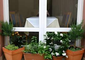 Hotel Alt Speyer 3