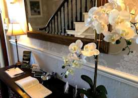 The Collingdale Guest House 3