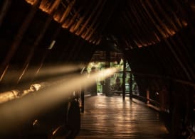 Radhoo Tulum 2