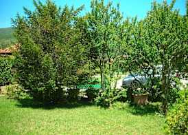 LA FOLAGA b&b 2