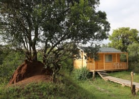 Jambo Mara Safari Lodge 3