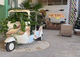Siente Tulum Hotel & Cenote Club 3