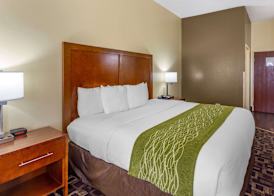 Comfort Inn & Suites North Aurora - Naperville 5