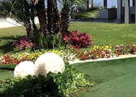 Hotel Serenella 5