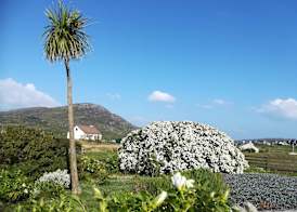 Brae Lea House, Lochboisdale, South Uist. Outer Hebrides 5