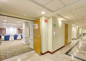 Holiday Inn LEON - POLIFORUM by IHG 2