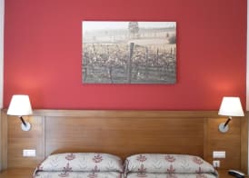 Hotel Milagros Rio Riaza 4