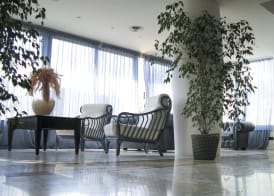 Hotel Cavalluccio Marino 3