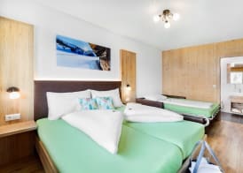 Wellness- und Familienhotel Garni Dachsteinresort 4
