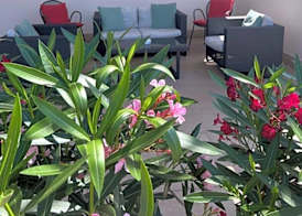 Hotel Dorè 3