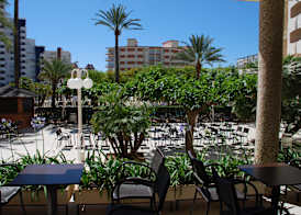 Hotel Los Robles 4