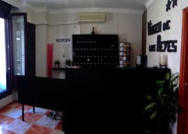 Hotel Virgen de los Reyes 4