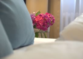 Lizz Hotel Munich 2