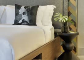Yoo2 Rio de Janeiro, Tapestry Collection by Hilton 5