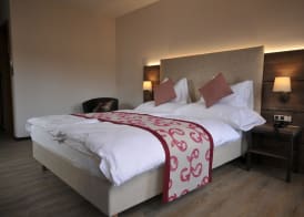 Hôtel des Vignes 4