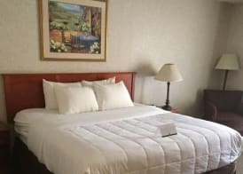 Quality Inn & Suites Albuquerque Midtown - University Area 5