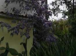 B&B La Salamandra Kitchengarden 3