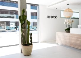 Sa Pedrera Suites & Spa 2