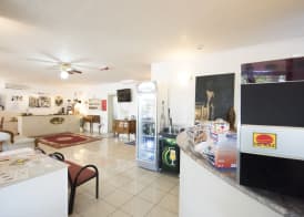 Hotel Settebello B&B 4