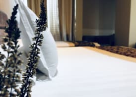 Hotel Arifi 5