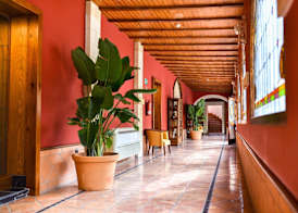 Hotel Alegria Bodega Real 4