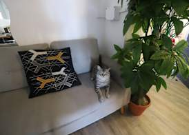 Guest House Pirelli Milano 3