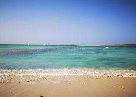 Oasis White Hotel 4