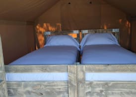 Camping Las Gaviotas 4